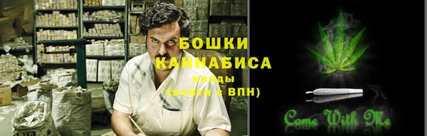 мдпв Верея