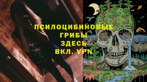 apvp Верхний Тагил