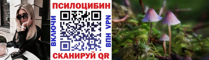 Галлюциногенные грибы Magic Shrooms  Калач-на-Дону 